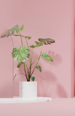 Revolutionizing Customer Engagement