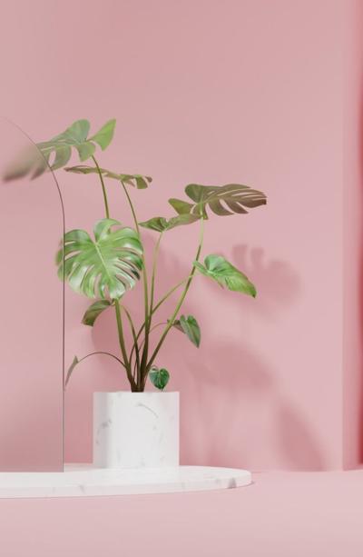 個人化體驗帶動會員成長