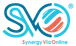 SVO WE GROUP - e-Commerce